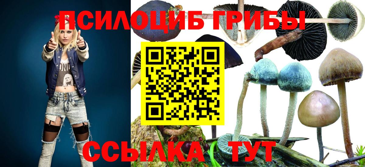 Псилоцибиновые грибы ЛСД Воткинск